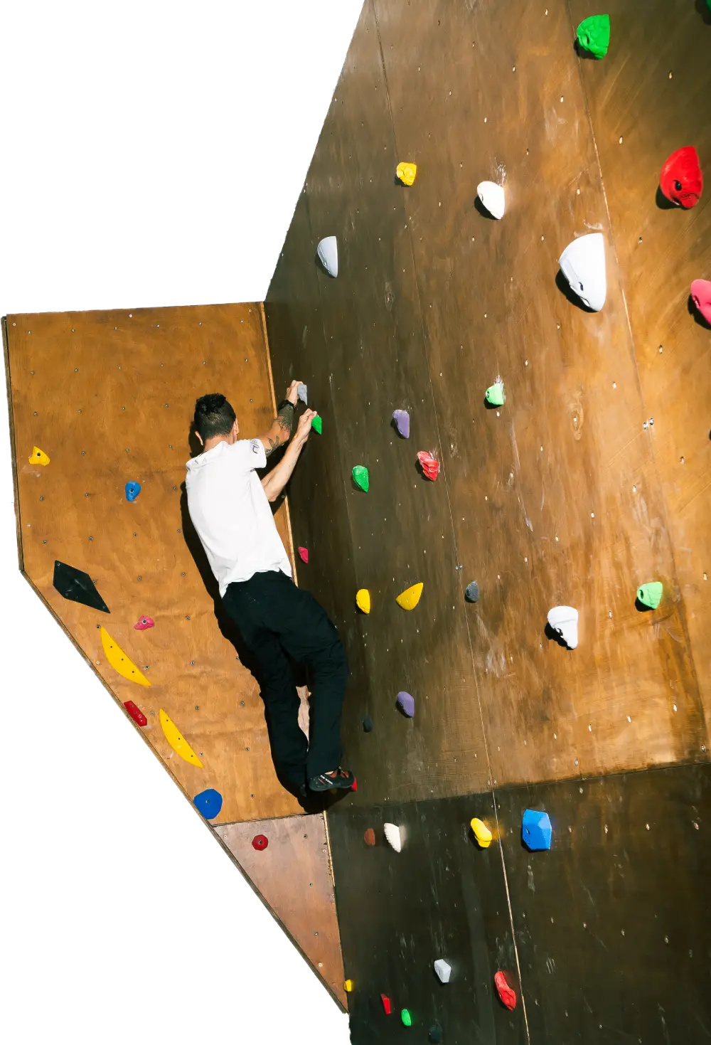 Escalada funcional en Jungle Training